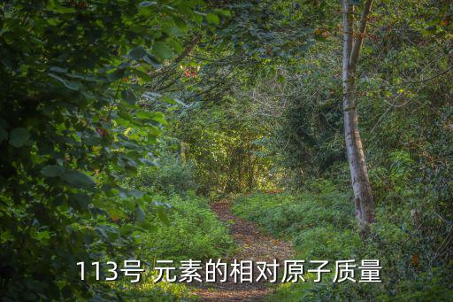  113號 元素的相對原子質量