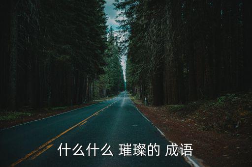 什么什么 璀璨的 成語
