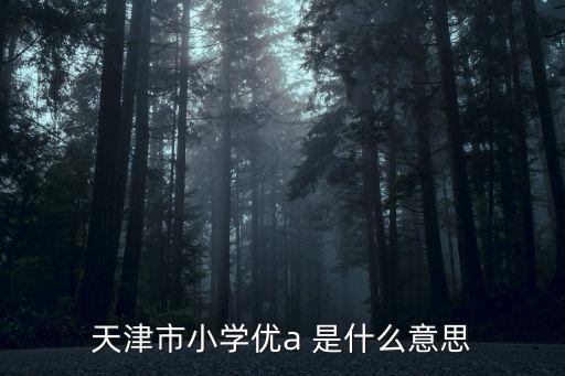 天津市純評優學生，天津市小學優a 是什么意思