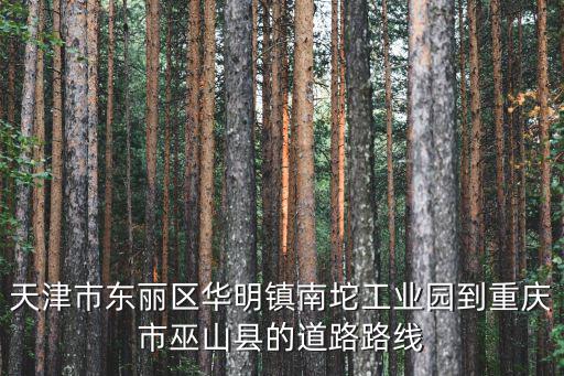 天津市東麗區華明鎮南坨工業園到重慶市巫山縣的道路路線