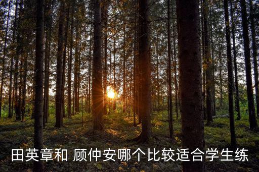 田英章和 顧仲安哪個(gè)比較適合學(xué)生練