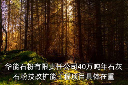 華能石粉有限責任公司40萬噸年石灰石粉技改擴能工程項目具體在重