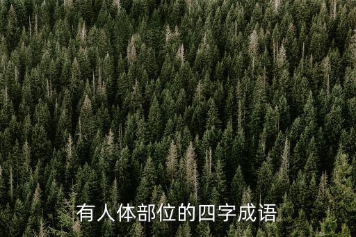 有人體部位的四字成語(yǔ)