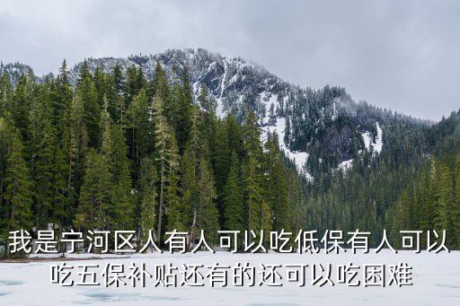 我是寧河區(qū)人有人可以吃低保有人可以吃五保補貼還有的還可以吃困難