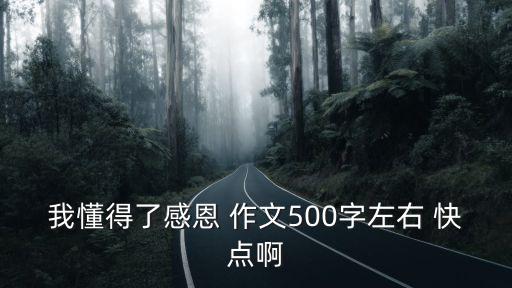 我懂得了感恩 作文500字左右 快點啊