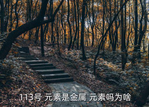  113號 元素是金屬 元素嗎為啥
