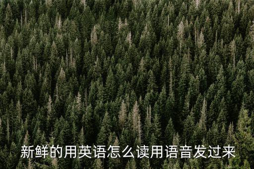  新鮮的用英語怎么讀用語音發過來