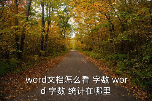 字數統計在word哪里,如何查看文檔的字數?三種方法!
