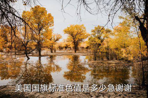 美國國旗標準色值是多少急謝謝