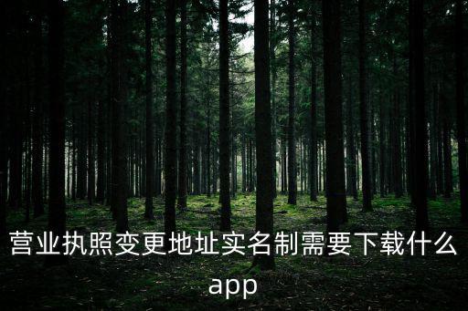 營業執照變更地址實名制需要下載什么app