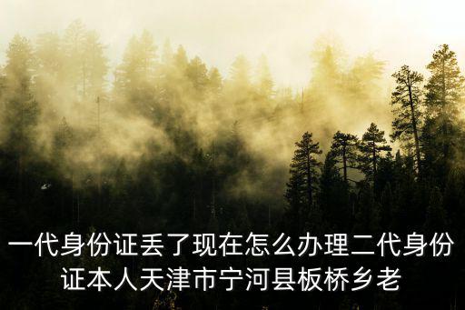一代身份證丟了現在怎么辦理二代身份證本人天津市寧河縣板橋鄉老