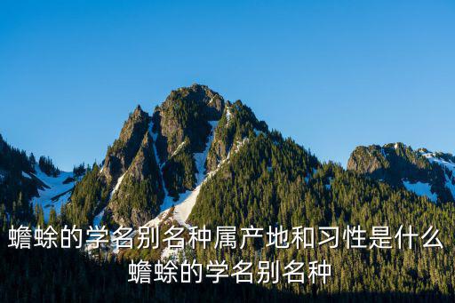 中華大蟾蜍，中華大蟾蜍的生活習性