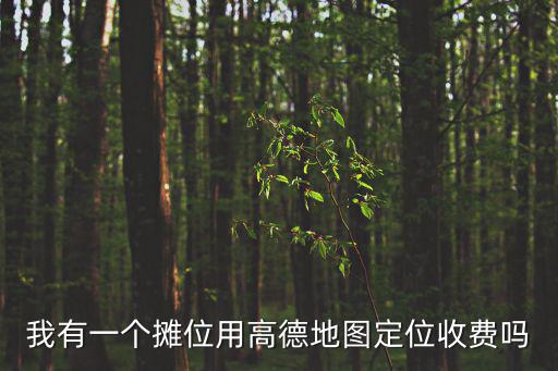 我有一個攤位用高德地圖定位收費嗎