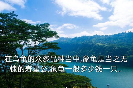 在烏龜?shù)谋姸嗥贩N當(dāng)中,象龜是當(dāng)之無愧的壽星公,象龜一般多少錢一只...