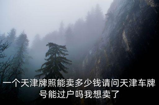 天津市車牌靚號出售，一個天津牌照能賣多少錢請問天津車牌號能過戶嗎我想賣了