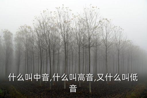 什么叫中音,什么叫高音,又什么叫低音