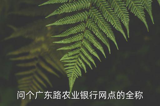 問個廣東路農業銀行網點的全稱