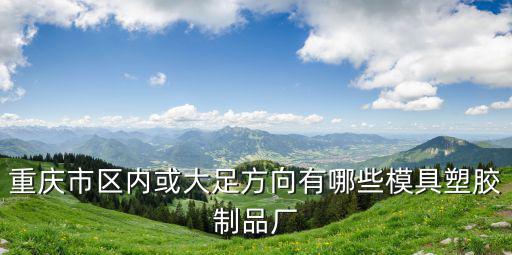 重慶市區(qū)內(nèi)或大足方向有哪些模具塑膠制品廠