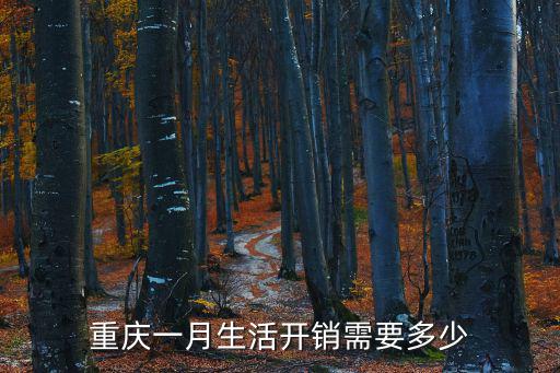 重慶市勞動(dòng)需求，重慶一月生活開銷需要多少