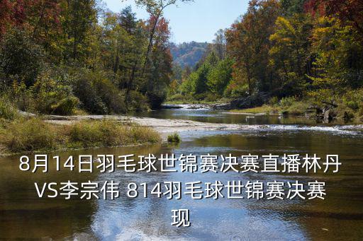 8月14日羽毛球世錦賽決賽直播林丹VS李宗偉 814羽毛球世錦賽決賽現