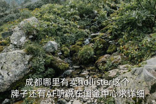 成都哪里有賣hollister這個(gè)牌子還有AF聽說在國金中心求詳細(xì)