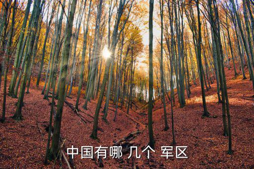 中國有哪 幾個 軍區(qū)