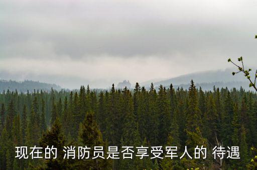 消防員待遇,改革后國家為消防成員的不享受退役士兵待遇