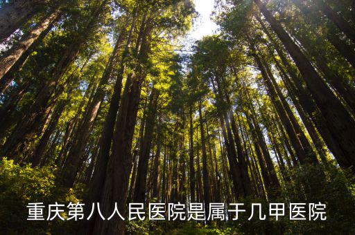 重慶市第八醫(yī)院官網(wǎng)，重慶第八人民醫(yī)院是屬于幾甲醫(yī)院