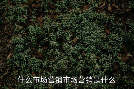 什么市場營銷市場營銷是什么