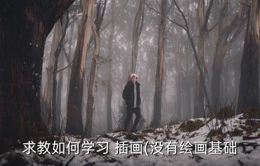 求教如何學習 插畫(沒有繪畫基礎