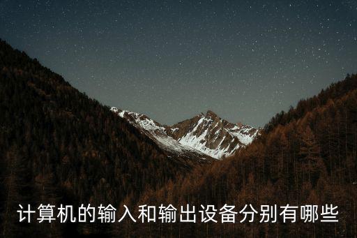 計算機的輸入和輸出設備分別有哪些