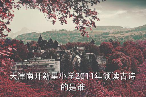 天津南開新星小學2011年領讀古詩的是誰