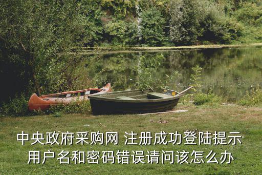 重慶市政府采購網密碼錯誤，中央政府采購網 注冊成功登陸提示 用戶名和密碼錯誤請問該怎么辦