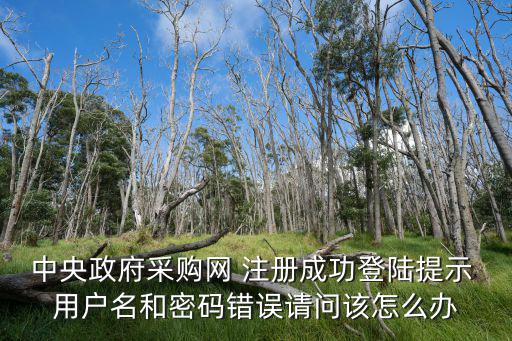 中央政府采購(gòu)網(wǎng) 注冊(cè)成功登陸提示 用戶名和密碼錯(cuò)誤請(qǐng)問(wèn)該怎么辦
