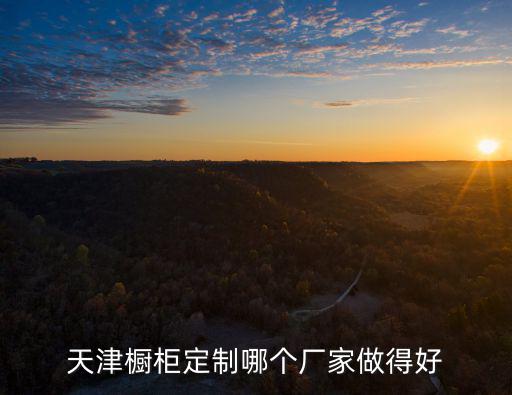 天津櫥柜定制哪個廠家做得好