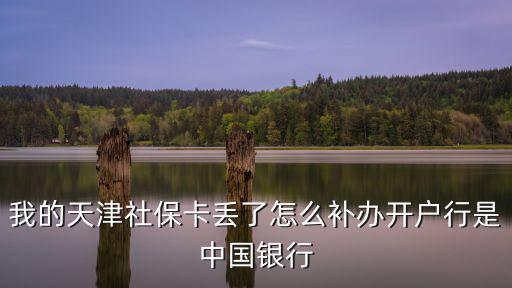 我的天津社保卡丟了怎么補(bǔ)辦開(kāi)戶行是中國(guó)銀行