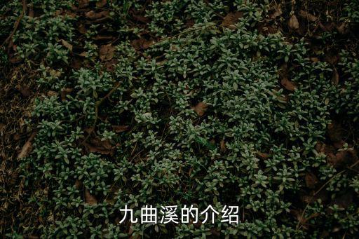 九曲溪的介紹