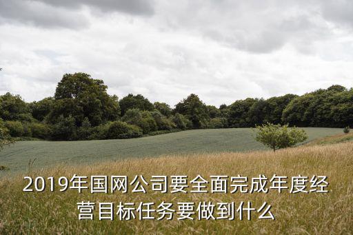 2019年國網(wǎng)公司要全面完成年度經(jīng)營目標(biāo)任務(wù)要做到什么