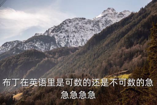布丁的英文，布丁在英語里是可數(shù)的還是不可數(shù)的急急急急急