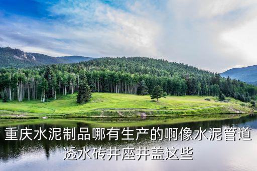 重慶市巴南區惠民鎮輔仁村書記，重慶有沒有巴南惠民鎮的友友嗎