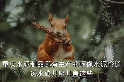 重慶水泥制品哪有生產(chǎn)的啊像水泥管道透水磚井座井蓋這些
