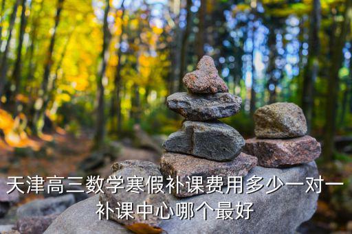 天津高三數(shù)學寒假補課費用多少一對一補課中心哪個最好