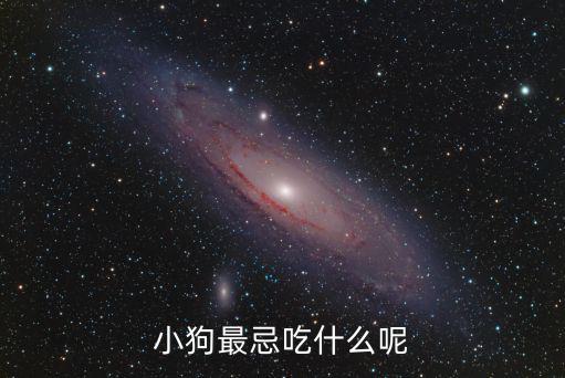 小狗最忌吃什么呢