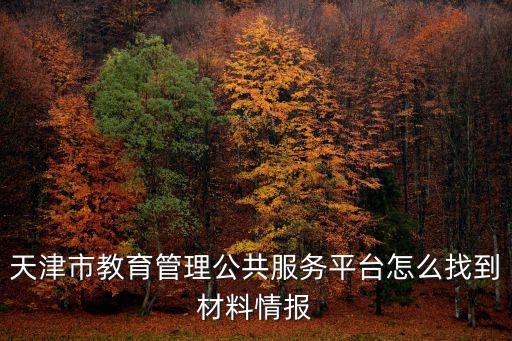 天津市教育管理公共服務(wù)平臺怎么找到材料情報