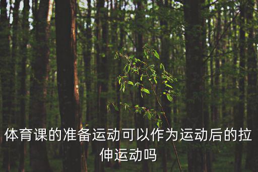 體育課的準備運動可以作為運動后的拉伸運動嗎