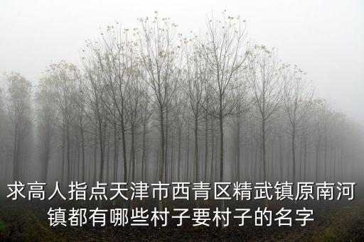 求高人指點天津市西青區精武鎮原南河鎮都有哪些村子要村子的名字