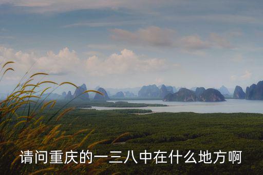 請(qǐng)問重慶的一三八中在什么地方啊