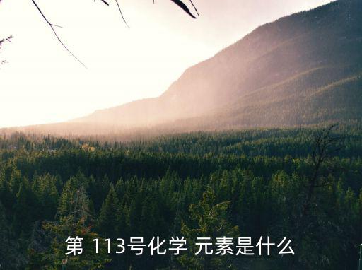 第 113號化學 元素是什么