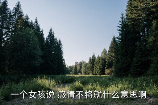 一個女孩說 感情不將就什么意思啊