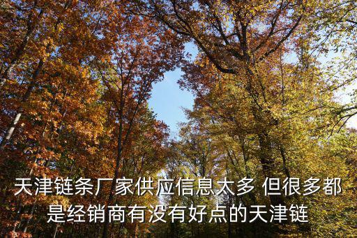 天津鏈條廠家供應信息太多 但很多都是經(jīng)銷商有沒有好點的天津鏈